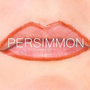 Persimmon Orange Brown Long Lasting Liquid Lip Art Lip Liner